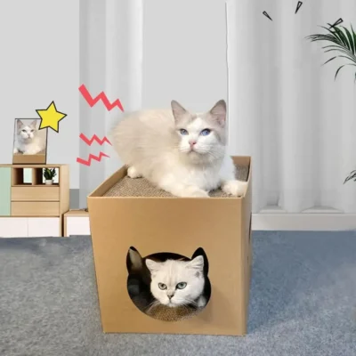 Maison à gratter en carton pour chats
