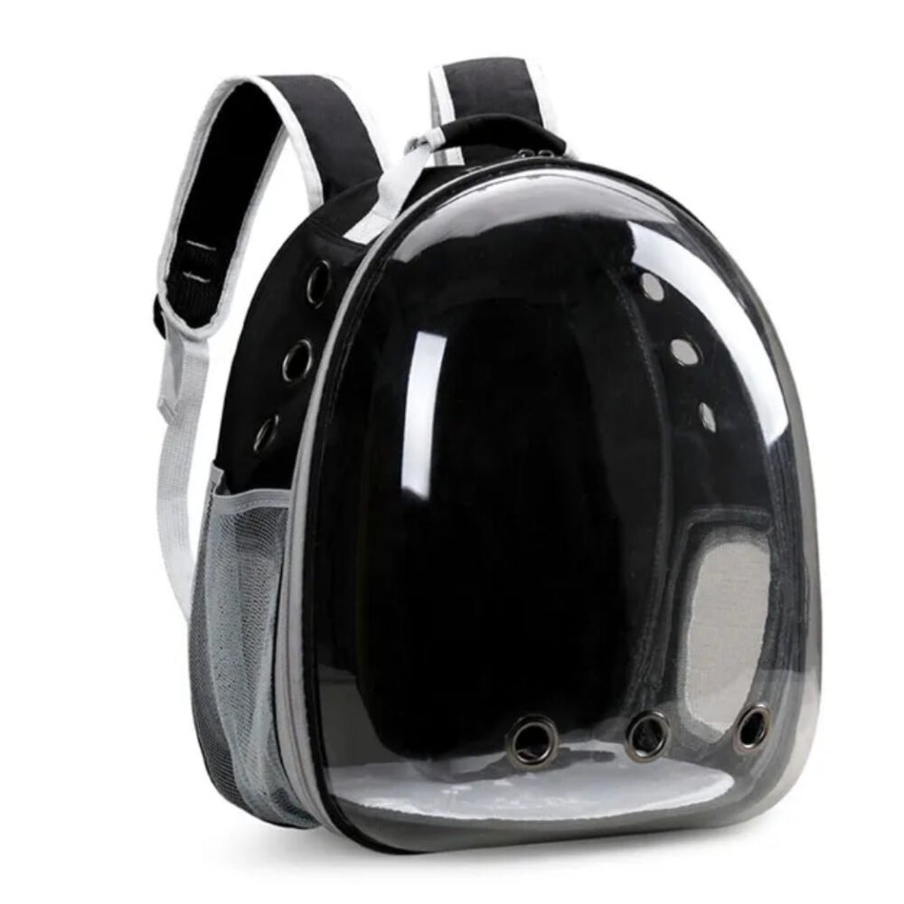 Sac à Dos Transparent pour Chat et Animaux de Compagnie