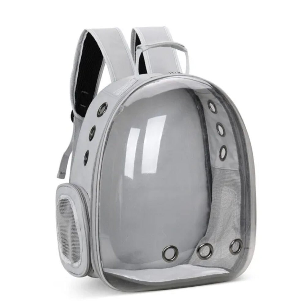 Sac à Dos Transparent pour Chat et Animaux de Compagnie