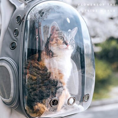 Sac à Dos Transparent pour Chat et Animaux de Compagnie