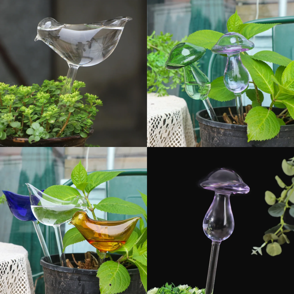 Dispositif d'Arrosage des Plantes en Verre – Arrosez Vos Plantes en Toute Simplicité